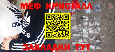 прущие грибы Можайск