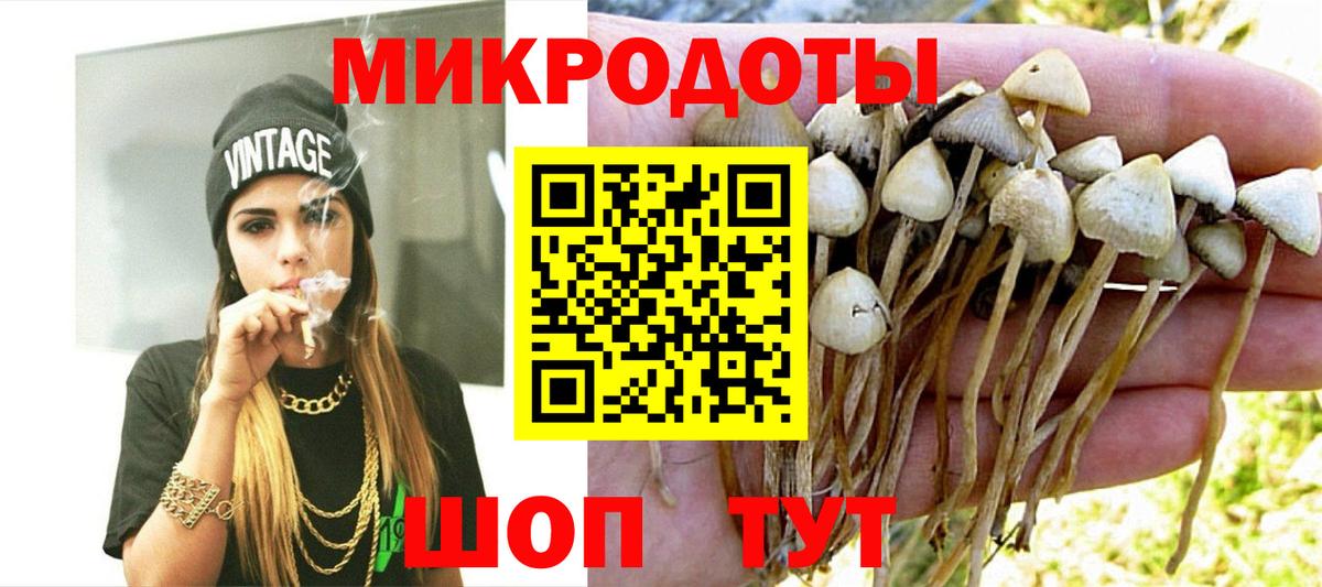 Галлюциногенные грибы мицелий  Вход с VPN  купить   Галлюциногенные грибы мицелий  Уварово 