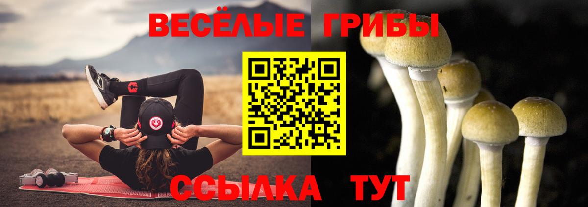 Псилоцибиновые грибы мухоморы Уварово